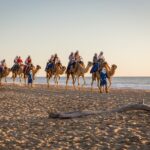 Electric Bike and Beach Camel Ride with Mexican Buffet Lunch - Electric Bike Adventure: Exploring Baja’s Beaches and Terrain