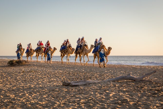 Electric Bike and Beach Camel Ride with Mexican Buffet Lunch - Electric Bike Adventure: Exploring Baja’s Beaches and Terrain