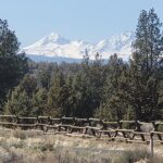 Electric Bike Tour of Bend & Deschutes River - The Guide: Expertise and Personal Touch
