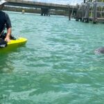 Elite Hobie Kayak Experience: Ultimate Premium Eco Adventure! - The Enchanting Sunset and Nighttime Moments