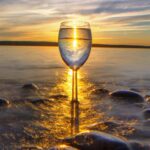 Elk Rapids: Torch Lake Area Movie Star Wine Tour (No Bus) - Discovering the Charm of Torch Lakes Wineries