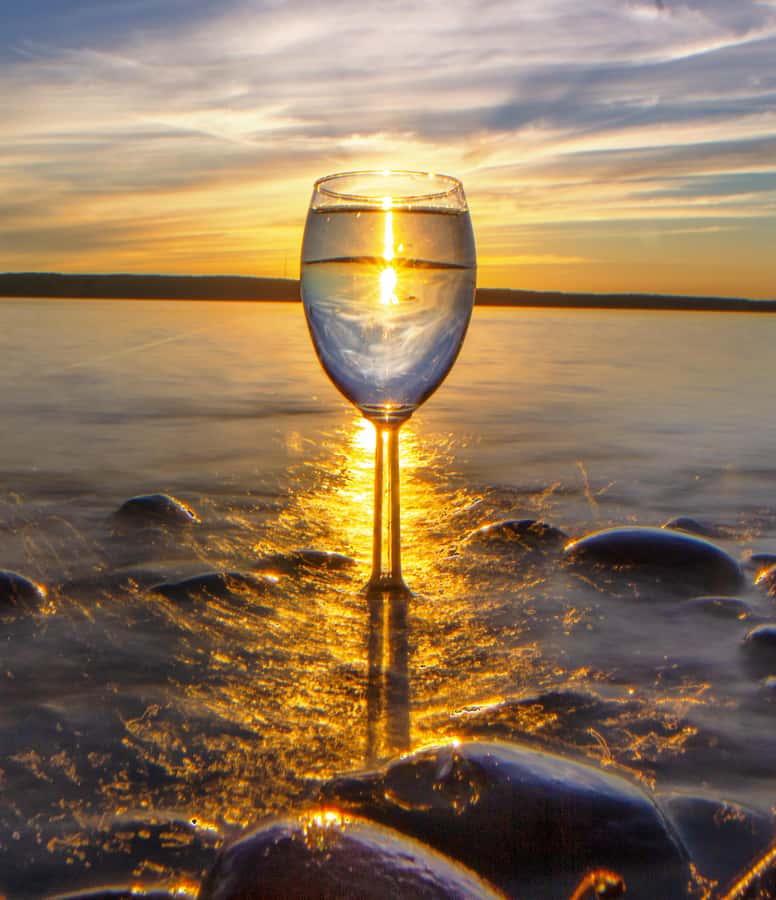 Elk Rapids: Torch Lake Area Movie Star Wine Tour (No Bus) - Discovering the Charm of Torch Lakes Wineries