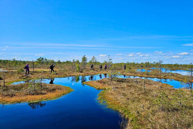 emeri Bogs Adventure: Explore Wetlands In Bog Shoes - How the Tour Operates from Riga and Jurmala