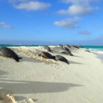 Enchanting Small Group Circle Island Tour of Oahu paradise - How the Tour Starts and Ends in Hawaii