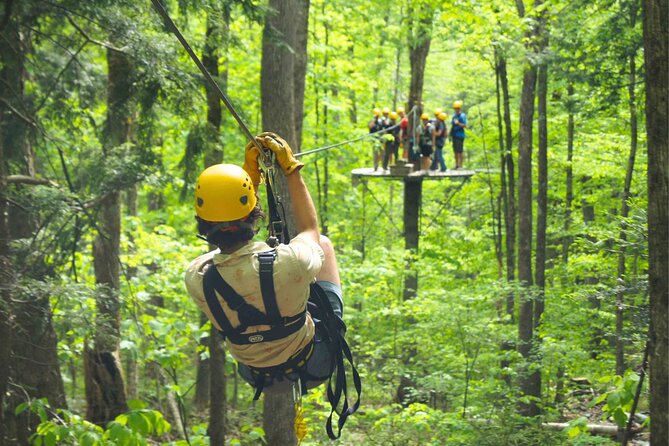 Enchanting Zipline , Camano Island and Deception Pass Tour - Deception Pass State Park: A Natural Wonderland
