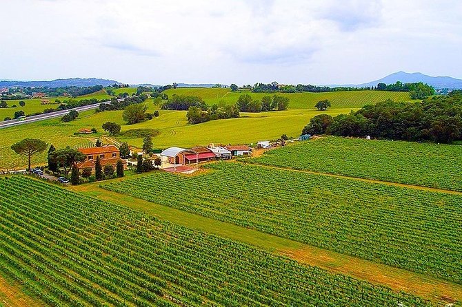 Enjoy a meal with wine tasting in the vineyard of Podere Casanova - The Winery Visit at Podere Casanova