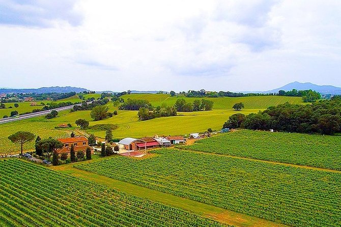 Enjoy a Wine Tasting after a cycling excursion in the magic of Tuscany - Cycling Through the Heart of Tuscan Countryside