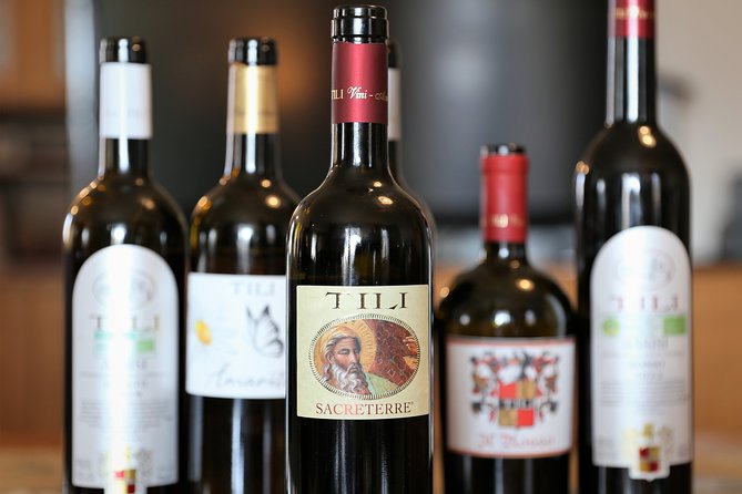 Enjoy and Taste the Flavors of Wine in an Open-air Venue - Exploring the Vineyard and Olive Grove at Your Own Pace