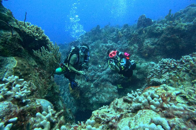 Enjoy two dives without previous experience with a boat trip - Meeting Point and Departure Time in Cozumel