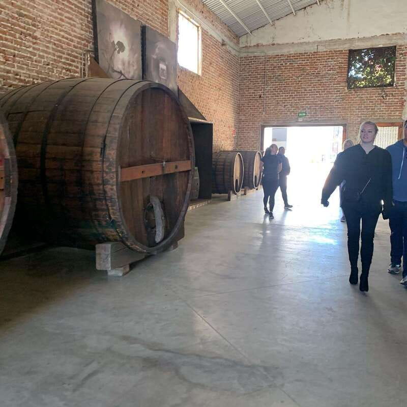 Ensenada: Guided City Highlights Tour with Margarita Tasting - Visiting Ensenada’s Iconic Landmarks in a Compact Schedule