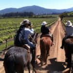 Ensenada: Horseback Riding at the Vineyards - The Vineyard and Mountaintop Views