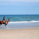 Ensenada: Horseback riding in the beach - Scenic Drive to Ensenada’s Best Beach
