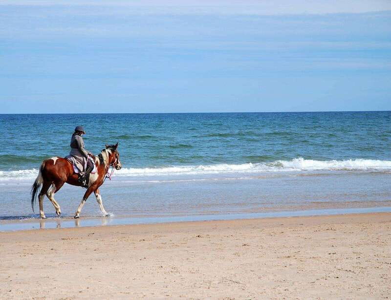 Ensenada: Horseback riding in the beach - Scenic Drive to Ensenada’s Best Beach