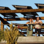 Ensenada: Old Wine Route Tour with 4 Winery Visits - Transportation and Pick-Up Details for Convenience