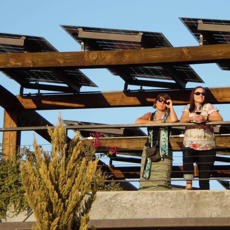 Ensenada: Old Wine Route Tour with 4 Winery Visits - Transportation and Pick-Up Details for Convenience