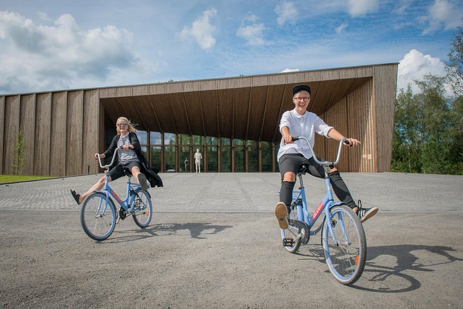 Entry Ticket to Amazing Serlachius in Tampere Region - Exploring the Serlachius Museum Gustaf