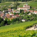 Epernay and Reims Champagne Private Day Trip from Paris - Champagne Tasting at Moët et Chandon’s Underground Cellars