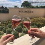 Epernay and Vineyards with Champagne Tasting - Scenic Rooftop Views Over Champagnes Most Expensive Avenue