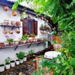 Ephesus Exclusive Tour - Kusadasi Private Shore Excursion - Visiting the Ancient City of Ephesus and Its Highlights