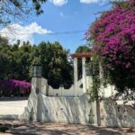 Epic Condesa and Roma Norte Walking Tour - Discovering Cultural Landmarks and Architectural Highlights