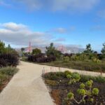 Epic San Francisco Views Urban Hiking Tour  City and Nature - Exploring the Palace of Fine Arts and Presidio Trails