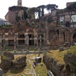 Esclusive Colosseum Tour with Roman Forum & Palatine Hill Access - Inside the Colosseum: An Icon of Roman Engineering