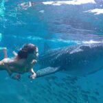 Espíritu Santo Island: snorkel SEA LIONS and Balandra Small Group - Exploring the Stops: From Malecon to Espíritu Santo Island