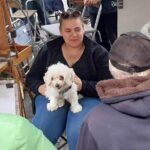 Essential Montmartre Private Walking Tour - Discovering Montmartre’s Historic Vineyards and Windmills