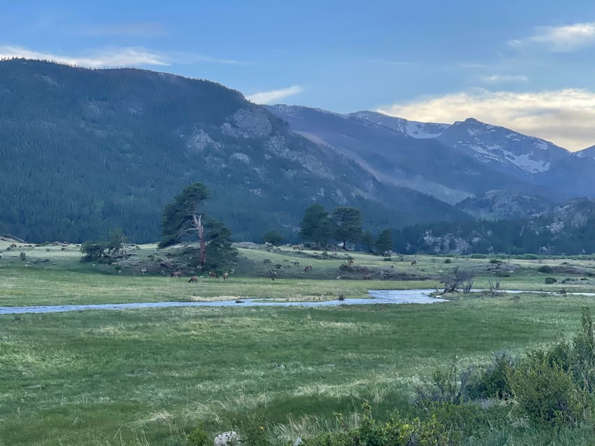 Estes Park: Guided Elk Rut Tour - Scenic Drives Through Rocky Mountain National Park