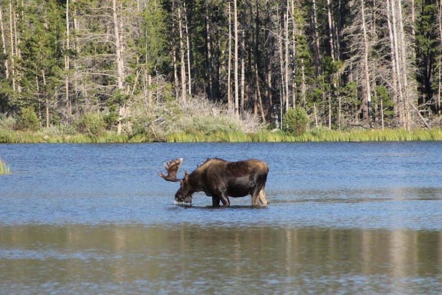 Estes Park: Waterfall Hiking Tour - The Jeep Ride to Secluded Nature Spots
