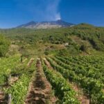 Etna panoramic private tour+Wine taste&food combination(AMAZING) - Exploring the Silvestri Craters