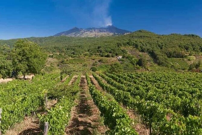 Etna panoramic private tour+Wine taste&food combination(AMAZING) - Exploring the Silvestri Craters
