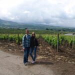 Etna Wine: discovering the volcano & enjoying a wine tasting - Starting Point and Logistics: Meeting in Catania
