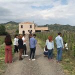 Etna Wineries Tour - Small Groups from Taormina - Visiting the Medieval Village of Castiglione di Sicilia