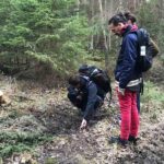 Evening Wildlife Safari with Campfire Dinner from Stockholm - Wildlife Spotting Opportunities and Expert Guidance