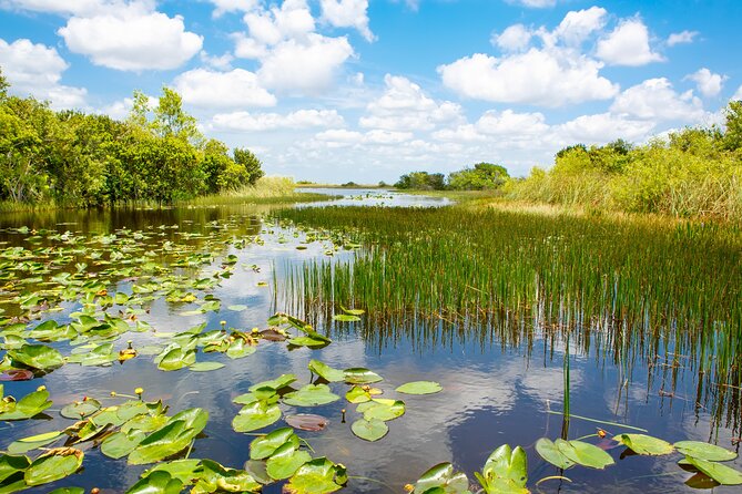 Everglades Airboat Adventure and Biscayne Bay Boat Tour - Visiting the Everglades Wildlife Show and Native Species