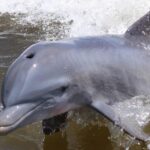 Everglades Day Safari from Ft Lauderdale - Starting the Day with an Airboat Ride Through Everglades National Park