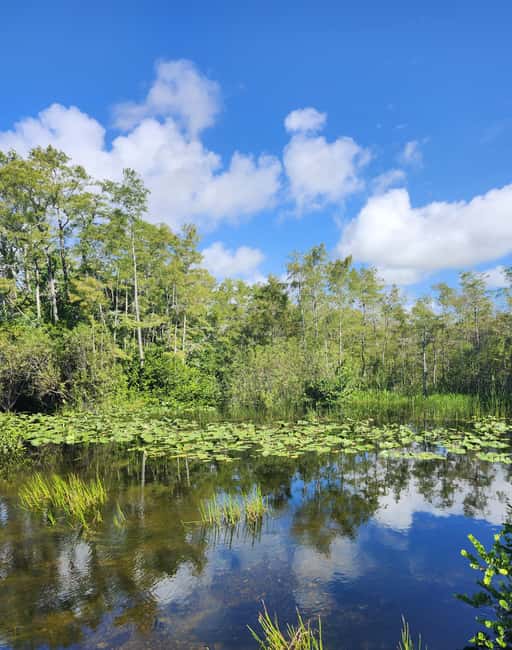 Everglades Eco Airboat Tour small group & top transportation - Small-Group Eco Airboat Ride in the Real Everglades
