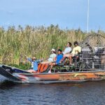 Everglades Florida Airboat Tour - What’s Included in the Airboat Tour Experience
