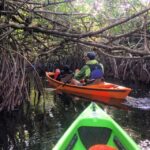 Everglades Kayak Safari Adventure Through Mangrove Tunnels - What the Three-Hour Kayak Adventure Entails