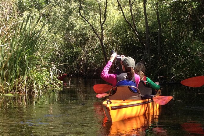 Everglades Kayak Safari Adventure Through Mangrove Tunnels - Starting Point and Duration Details