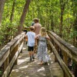 Everglades: Mangrove, Grassland Airboat Tours, & Boardwalk - Starting Point and How to Find It