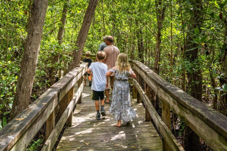 Everglades: Mangrove, Grassland Airboat Tours, & Boardwalk - Starting Point and How to Find It