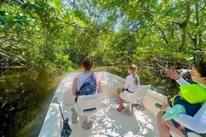 Everglades Mangrove Wilderness Boat Tour - Guides and Commentary: Knowledgeable and Friendly Captains