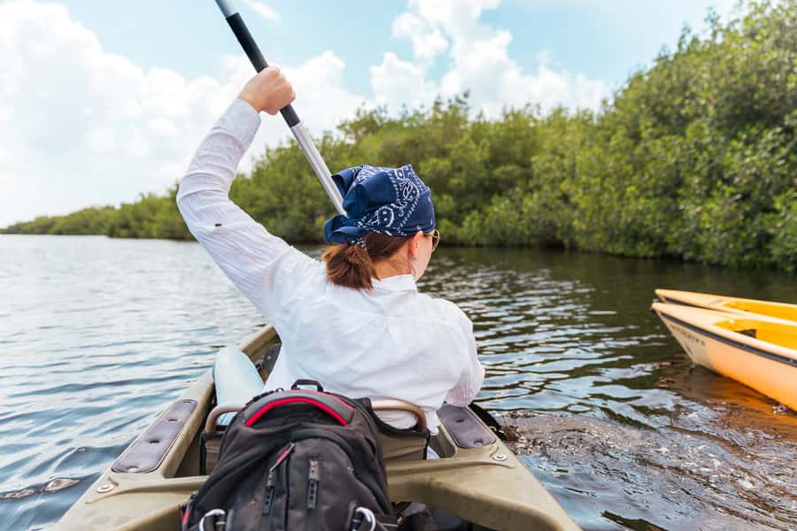 Everglades National Park: Mangrove Tunnel Kayak Eco-Tour - Navigating the Mangrove Tunnels