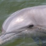 Everglades National Park: Pontoon Boat Tour & Boardwalk - Starting Point and Access to Everglades