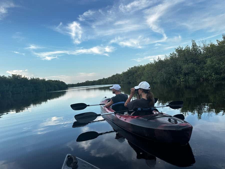 Everglades: Private Kayak Tour with Guide - The Unique Setting of the Big Cypress National Preserve