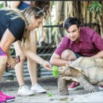 Everglades: Sawgrass Park Reptile Exhibit Private Tour - Visiting the Reptile Habitats in the Park