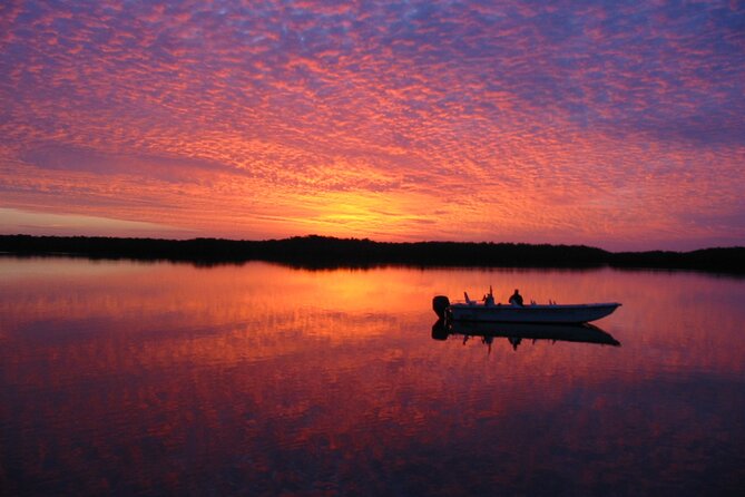 Everglades Small Group Guided Boating and Walking Expedition - What Makes This Tour Unique: Small Group and Eco-Friendly Approach