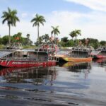 Everglades VIP Airboat Tour with Transportation Included - Exploring the Everglades on an Airboat